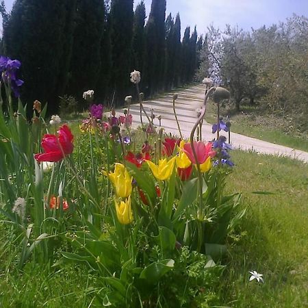 Residence Ai Campi Da Golf Saturnia Exteriér fotografie