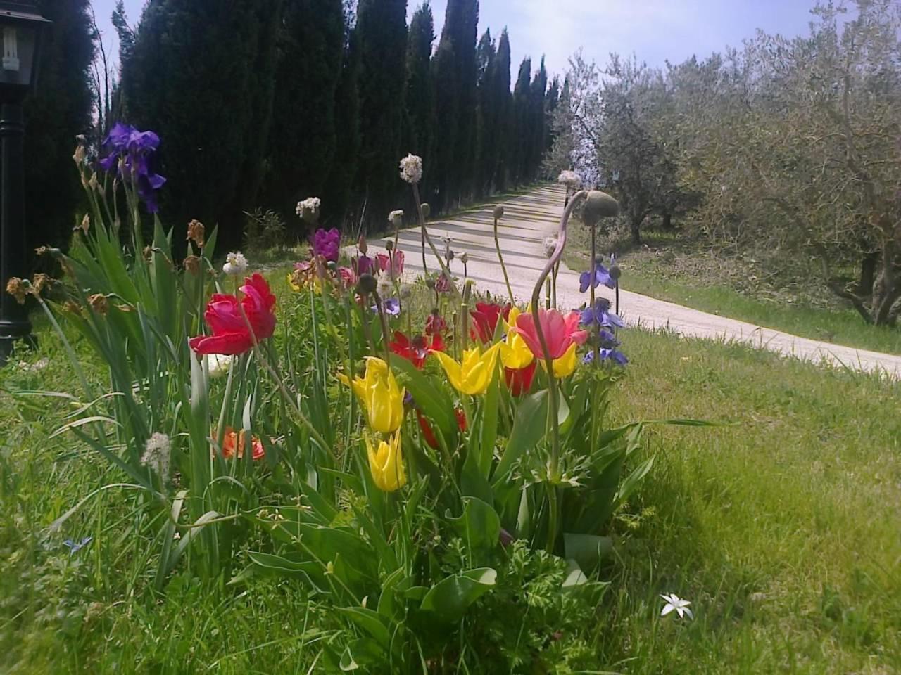 Residence Ai Campi Da Golf Saturnia Exteriér fotografie