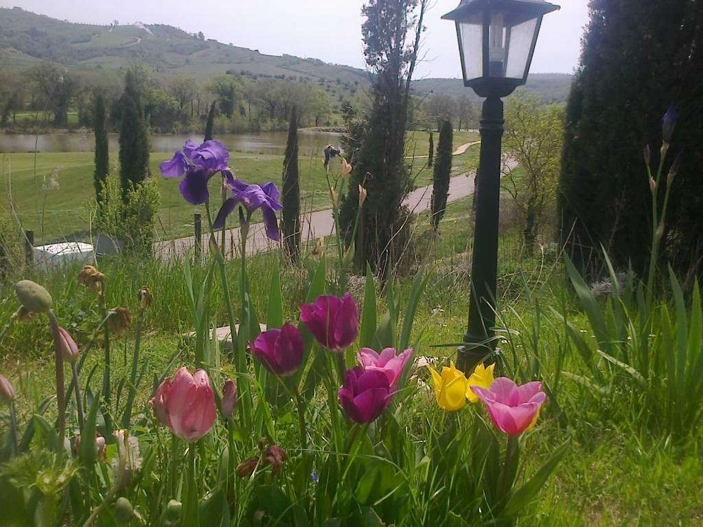 Residence Ai Campi Da Golf Saturnia Exteriér fotografie