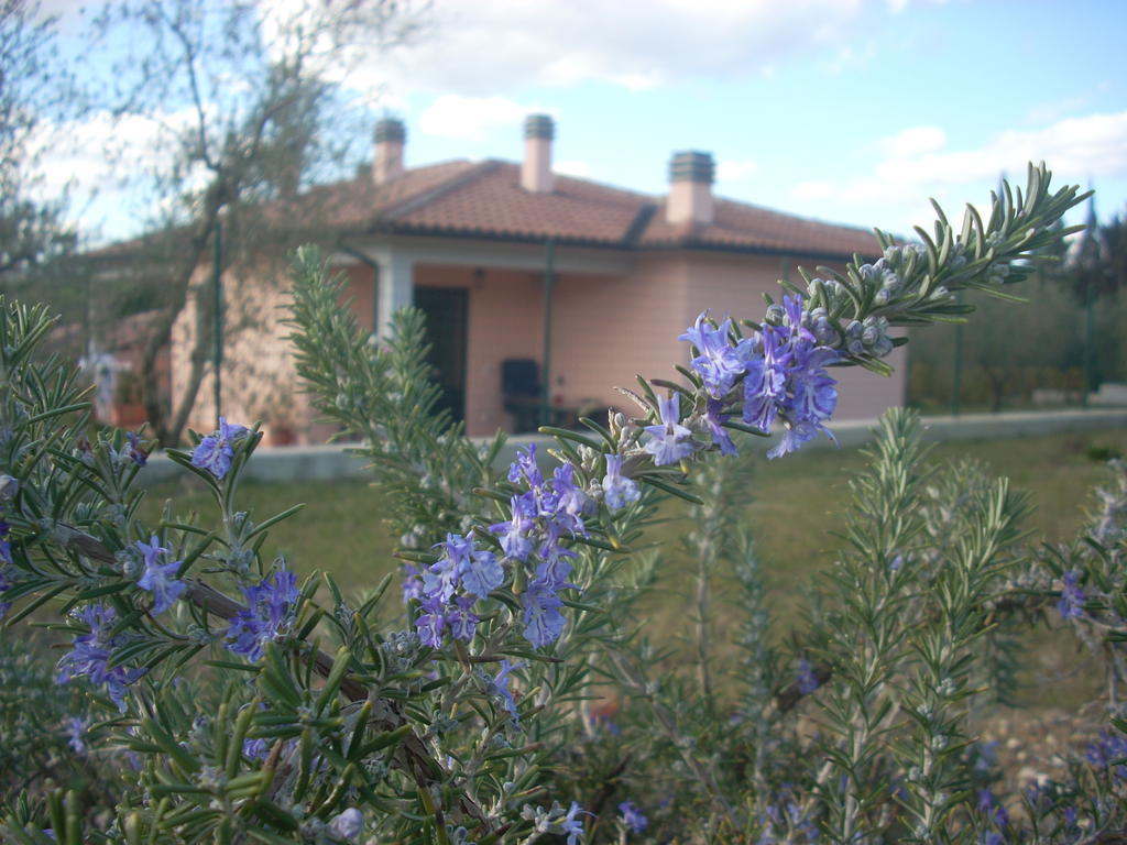 Residence Ai Campi Da Golf Saturnia Pokoj fotografie