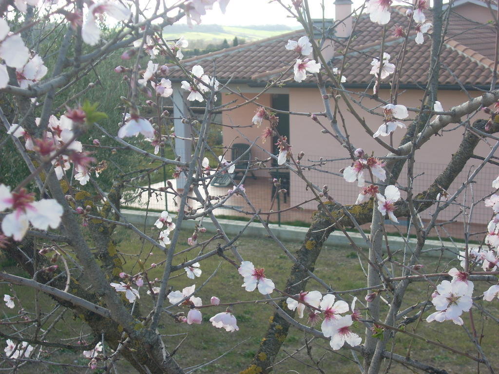 Residence Ai Campi Da Golf Saturnia Exteriér fotografie