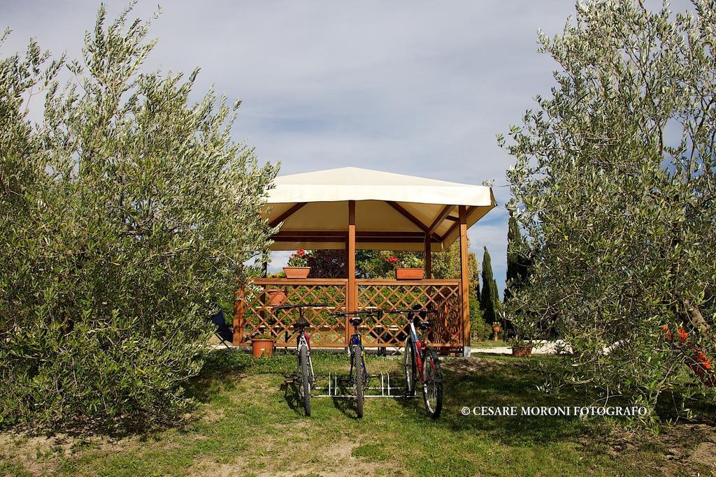 Residence Ai Campi Da Golf Saturnia Pokoj fotografie