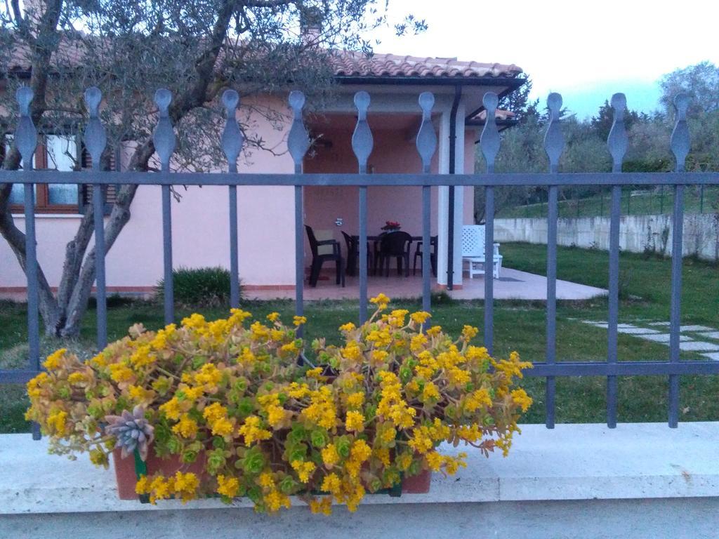 Residence Ai Campi Da Golf Saturnia Exteriér fotografie